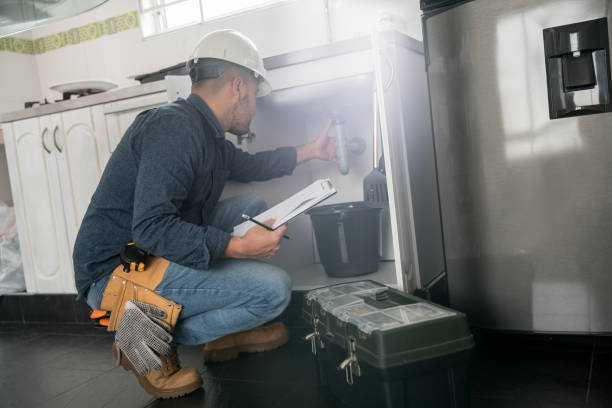 Best Drain Cleaning Services  in Cologne, MN