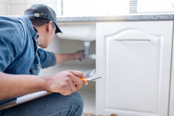 Best Plumbing Installation Services  in Cologne, MN