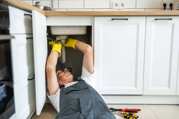Best Leak Detection Services  in Cologne, MN