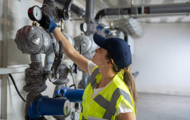 Best Best Plumbers Near Me  in Cologne, MN