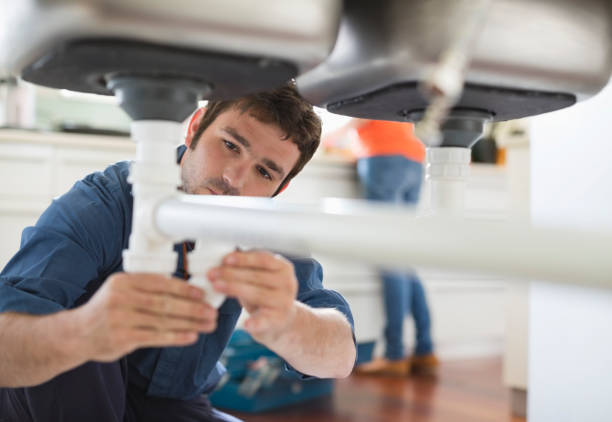Best Plumbing Services Near Me  in Cologne, MN