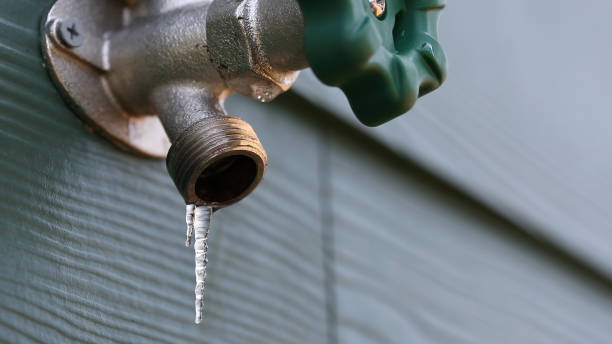 Best Commercial Plumbing Services  in Cologne, MN