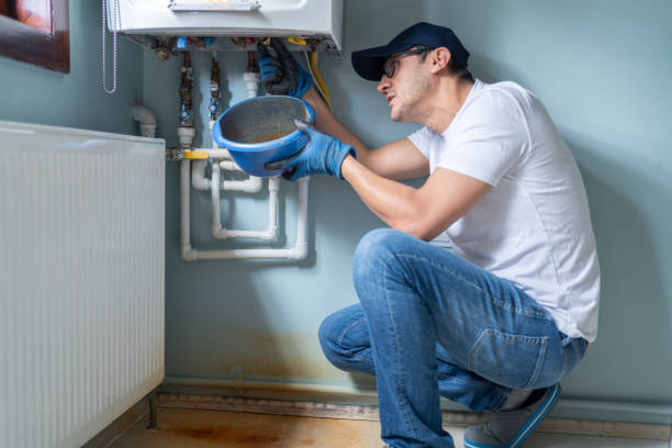 Best Local Plumber Services  in Cologne, MN
